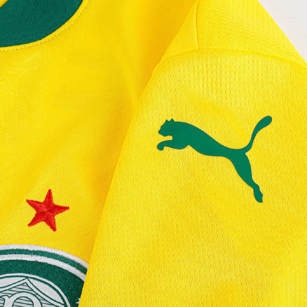 Camisa Palmeiras Third 25/26 - Puma Feminina