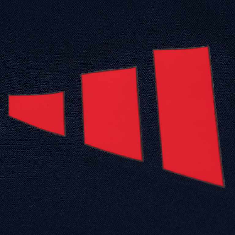 Camisa Flamengo 25/26 Treino II - Torcedor Masculina