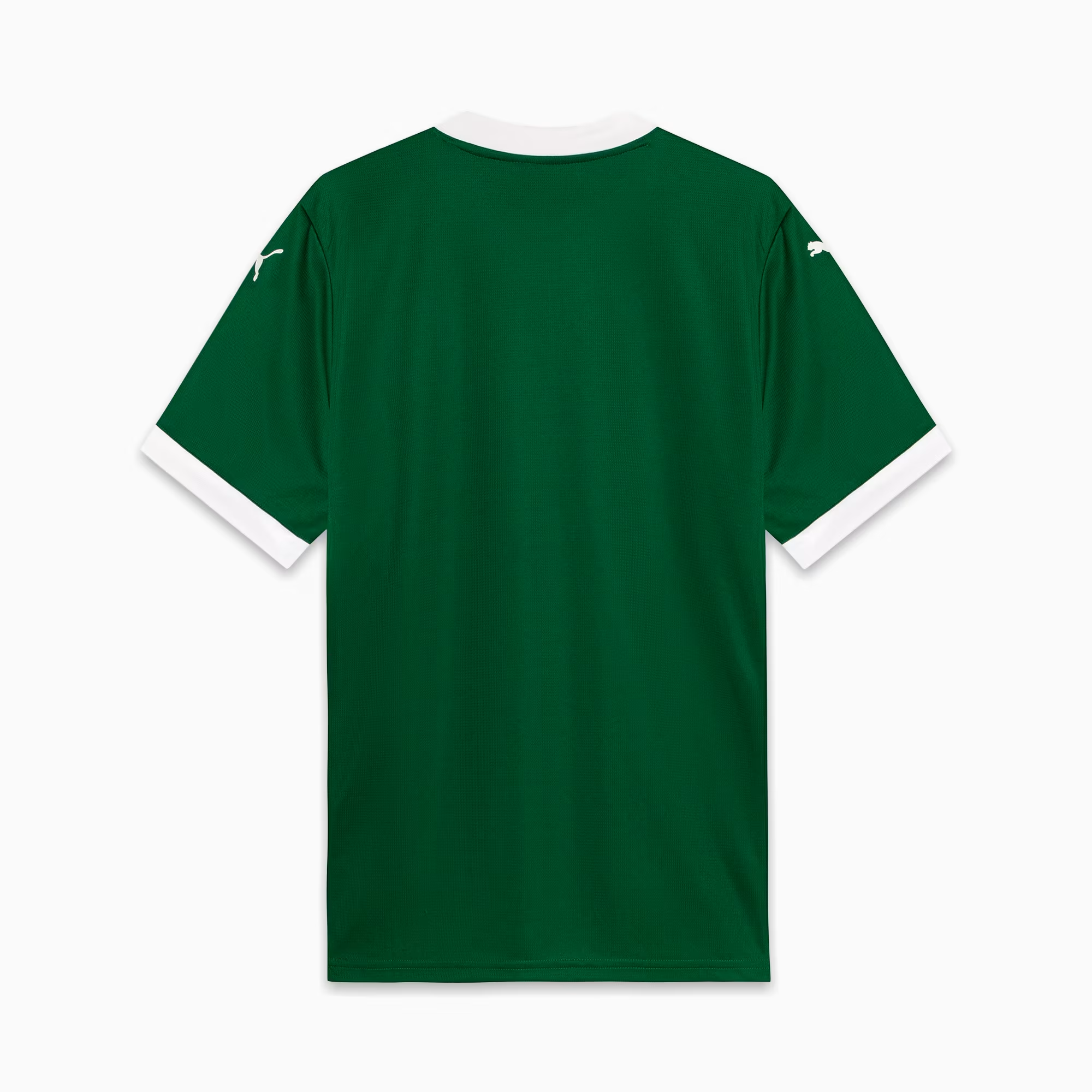 Camisa Palmeiras 25/26 Home - Torcedor Masculina