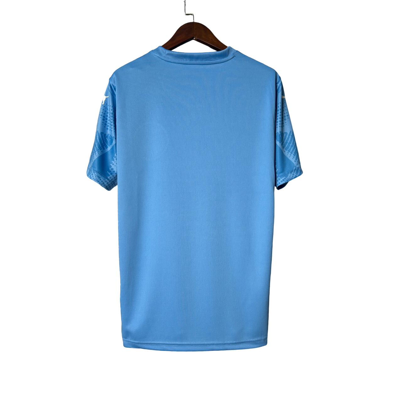 Camisa Palmeiras 25/26 Goleiro I - Torcedor Masculina