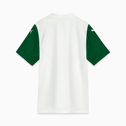 Camisa Palmeiras 25/26 Away - Torcedor Masculina