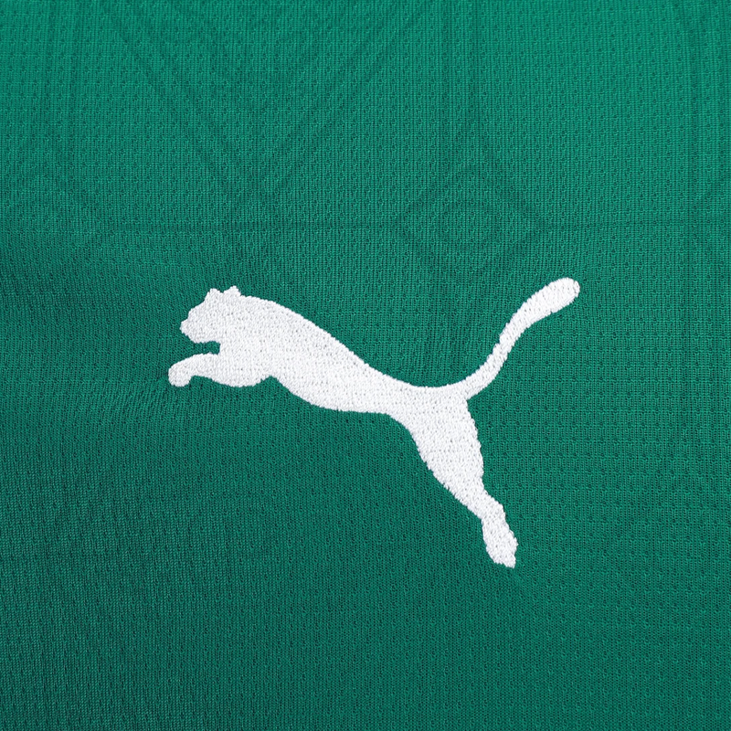 Camisa Palmeiras 25/26 Home - Torcedor Masculina